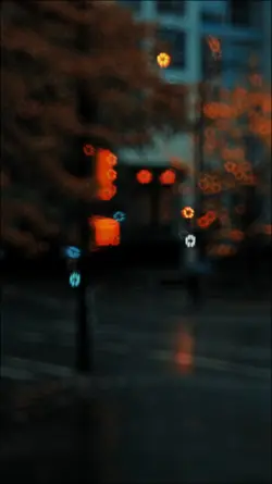 Şoxu şenge