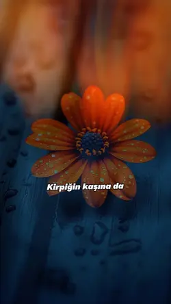 şarkının güzelliği 