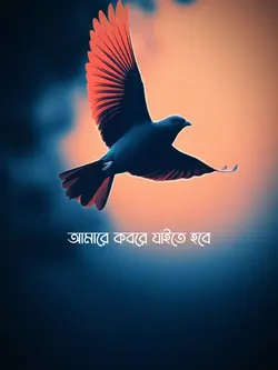 আমি মরেই যাবো 