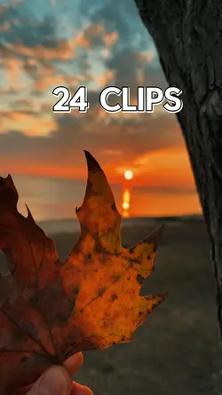 24 clips