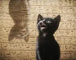 egyptian