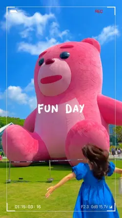 fun day