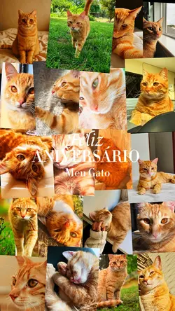 Feliz Aniversário