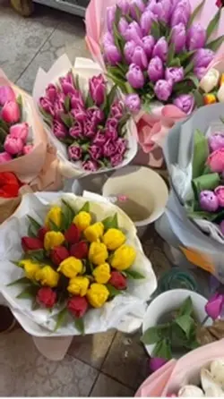 vlog video