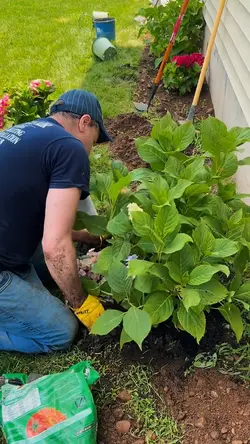 Gardening