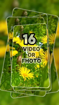 Nature Flower