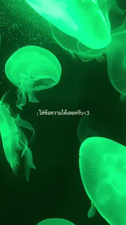 ใส่ข้อความได้เลยครับ