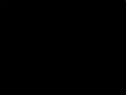 islamictemplate