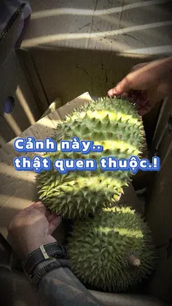 Cảnh này thật quen..