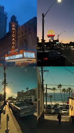 minivlog 31clips