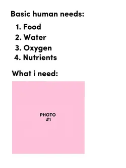 what i need: