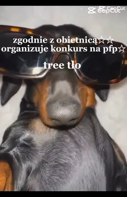 konkurs!!!