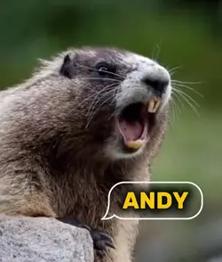 ANDY 