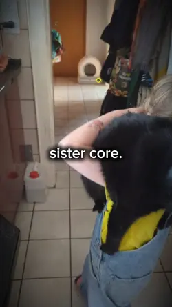 sister core