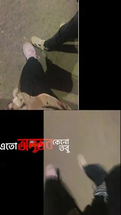 tik tok Trend 