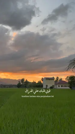 Qawy albek ala el