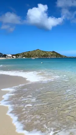 4 Video