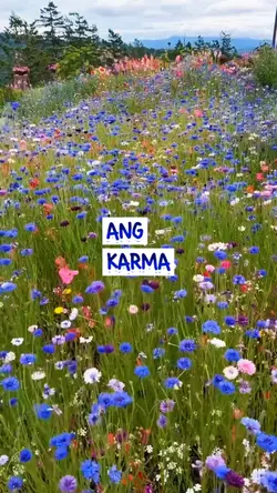 Karma