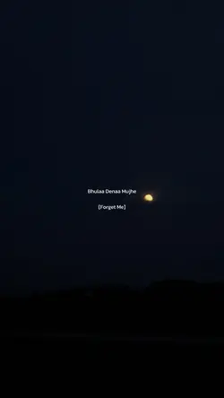 Bhulaa dena