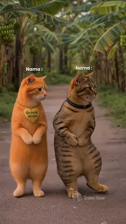 Nma Teman suka joget