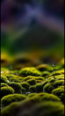 livewallpaper