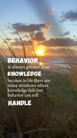 Behavior 