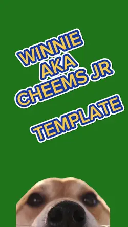 WINNIE CHEEMS JR