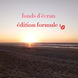 fonds d'écran f1
