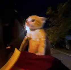 mama