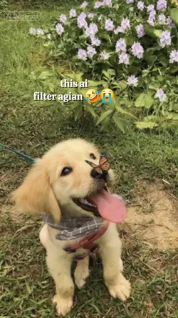 macrowive ai filter