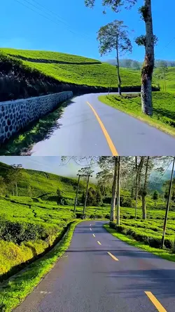 2 video split screen