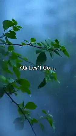 Ok Let's Go...