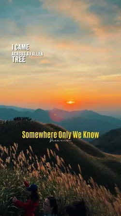 I came across a fall