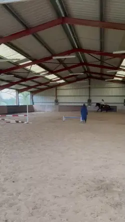 fan équitation 