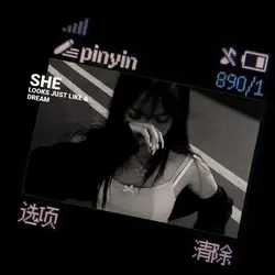 1pic lyrics