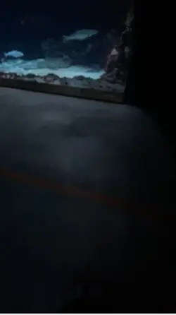 Cr:@💤