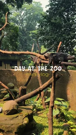 Day at the zoo