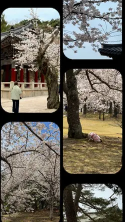 Pinterest коллаж 🌸