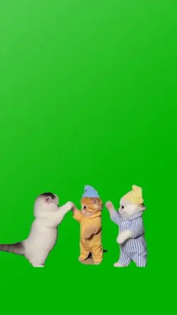 SLEEPWALKING DANCE