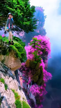Mountain beauty