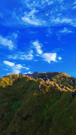 Blue Sky