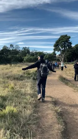 Kicau mania slowmo