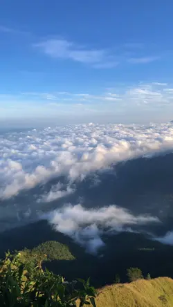 video alam