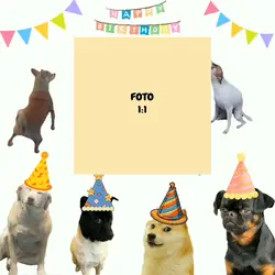 HAPPY BIRTHDAY DOG V