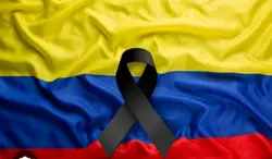 fuerza colombia 