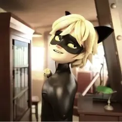 CAT NOIR MLB 🐞 🐈‍⬛ 