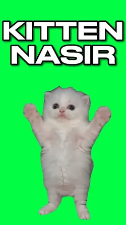 KITTEN NASIR DANCE