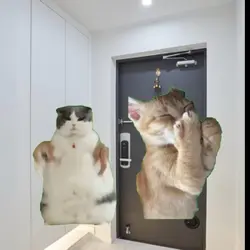 커플 고양이 밈