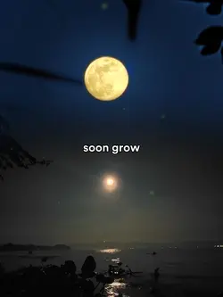 Moon 
