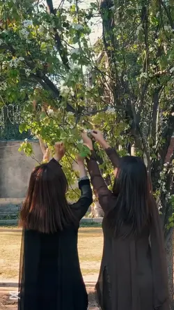 Friendship Template 